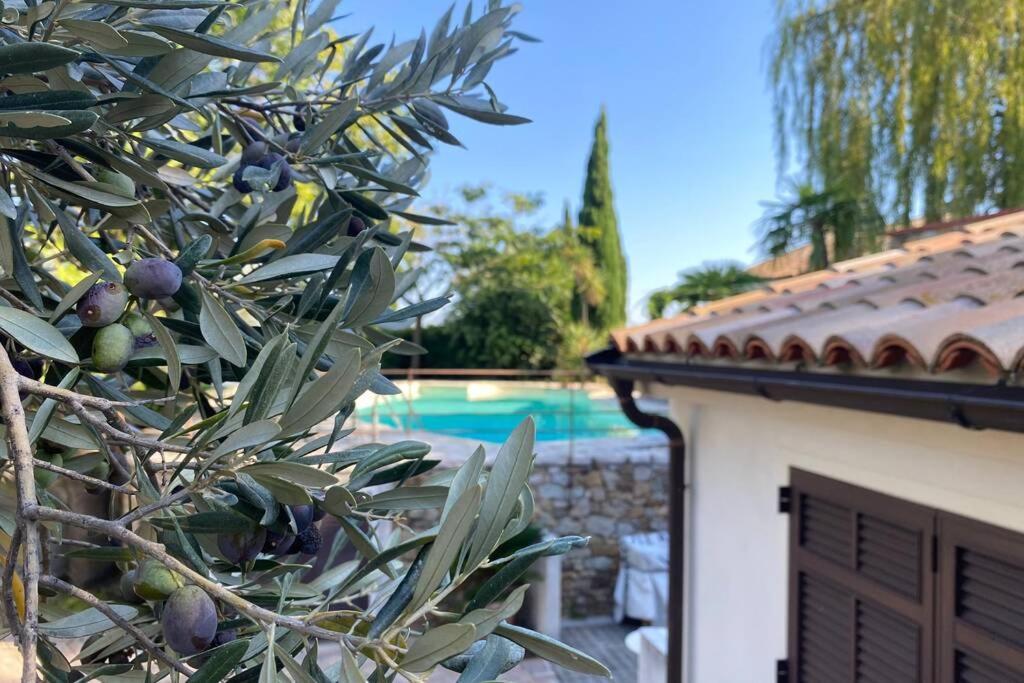 Relais San Sebastiano Villa Pietra Ligure Ngoại thất bức ảnh